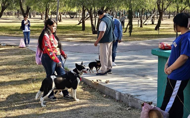 Moralzarzal estrena un Parque de Esparcimiento para perros