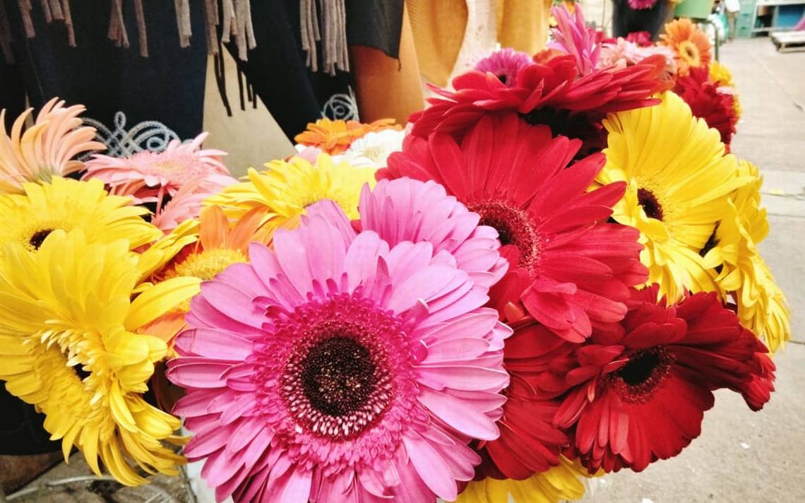 Esperan floristas buenas ventas para el 14 de febrero - El Sol de Salamanca  | Noticias Locales, Policiacas, de México, Guanajuato y el Mundo
