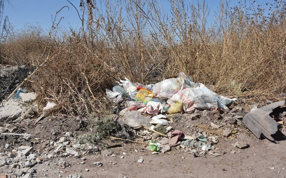 Urgen multas por tirar basura en zonas prohibidas - El Sol de Salamanca |  Noticias Locales, Policiacas, de México, Guanajuato y el Mundo