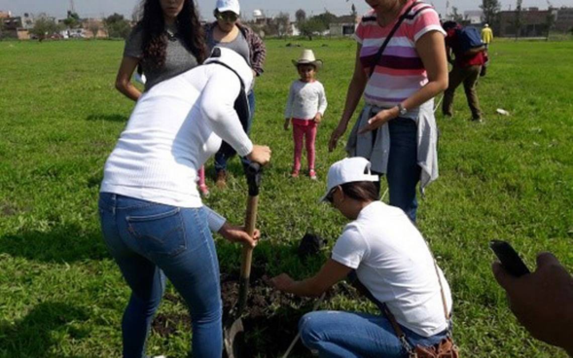 Plantan árboles frutales - El Sol de Salamanca | Noticias Locales,  Policiacas, de México, Guanajuato y el Mundo