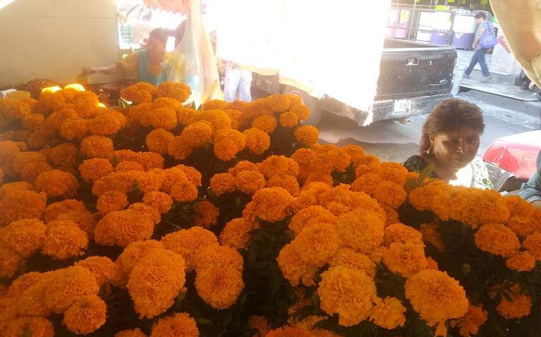 Cempasúchil tradición de Día de Muertos - El Sol de Salamanca | Noticias  Locales, Policiacas, de México, Guanajuato y el Mundo