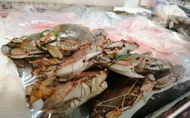 Pérdidas en venta de pescados y mariscos - El Sol de Salamanca | Noticias  Locales, Policiacas, de México, Guanajuato y el Mundo